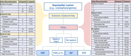 鞍上区重建原则见图3。多数专家(62.5%)使用两层或以上嵌片,35%使用单层嵌片。