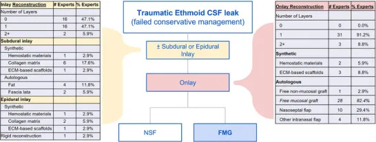对于需立即修复或保守治疗失败的创伤性筛板/筛窦缺损(治疗方案存在差异),专家倾向不采用嵌片(47%)或使用单层嵌片(47%),以及单层覆盖片(91.2%)。