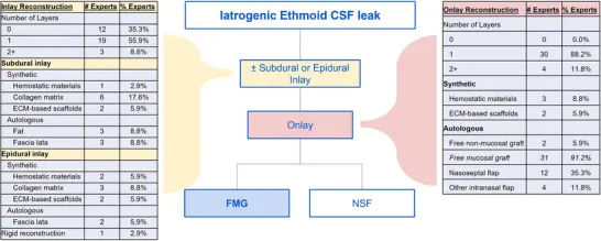 几乎所有专家(88.2%)使用单层覆盖片,首选FMG(91.2%),其次为NSF(35.3%)。若使用嵌片,多采用置于硬膜下或硬膜外间隙的合成材料(图7)。