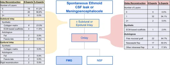 对于自发性筛窦脑脊液漏或脑膜脑膨出修复,专家偏好内镜入路,选择不采用嵌片(41.2%)或单层嵌片(58.8%),配合单层覆盖片(94.1%)。
