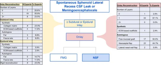 如图10总结,对于自发性蝶窦外侧隐窝(SSLR)脑脊液漏或脑膜脑膨出,多数专家倾向放置至少一层嵌片(79.4%),几乎所有专家偏好单层覆盖片(97.1%)。
