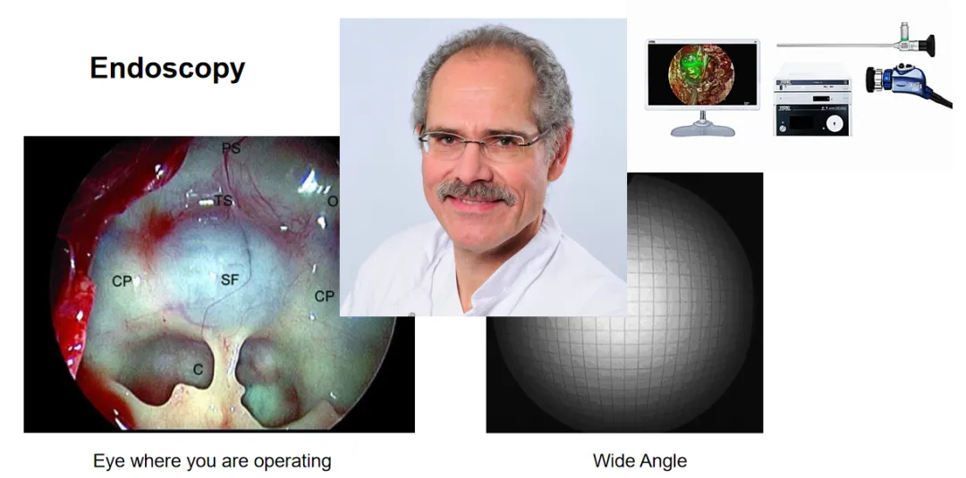 Henry W.S. Schroeder教授