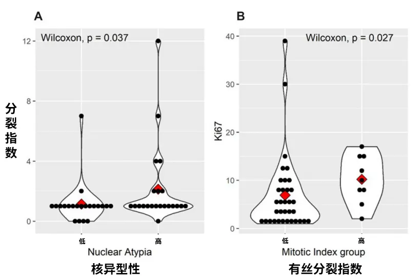 图4. 脊索瘤主要组织学预后标志物间的统计学关系