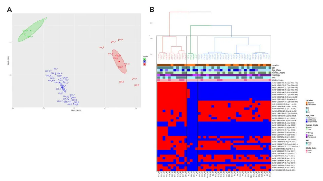 图7. 基于NGS检测85个基因变异的脊索瘤患者多重对应分析(MCA)。