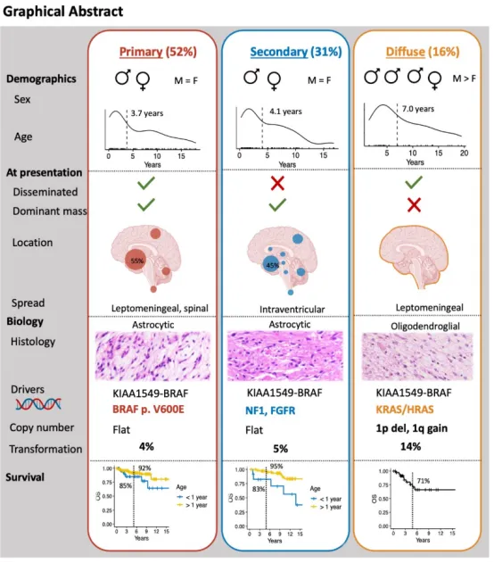【INC国际大咖研究成果】弥漫性儿童低级别胶质瘤的临床与分子特征整合分析