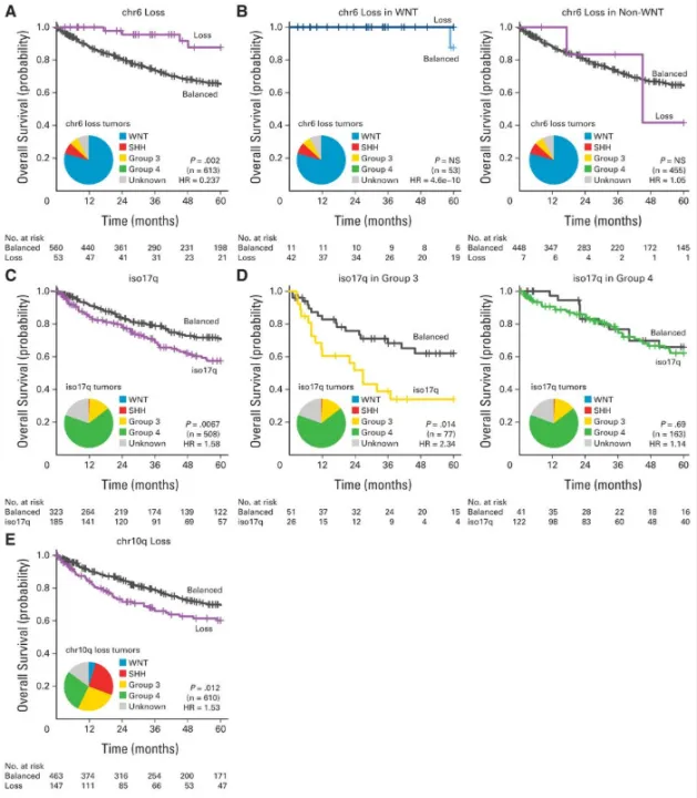 图2.(A)整个队列中6号染色体(chr6)状态的总生存曲线和频率分布。(B)WNT和非WNT髓母细胞瘤中chr6状态的总生存曲线。(C)整个队列中17号染色体等臂染色体(iso17q)的总生存曲线和频率分布。排除了chr17广泛增加或缺失的患者。(D)第3组和第4组亚群中iso17q状态的总生存曲线。(E)整个队列中chr10q状态的总生存曲线。HR,风险比;NS,不显著。