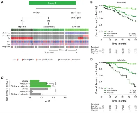 图5.第4组髓母细胞瘤患者的临床预后判断。(A)通过分子和临床预后标志物对第4组髓母细胞瘤进行风险分层。决策树,下方的事件图描绘了各风险组的分子和临床标志物状态。(B)第4组风险组的总生存曲线。(C)仅使用临床标志物、或仅使用分子标志物、或两者结合进行分层的风险组的平均时间依赖性曲线下面积(AUCs)。风险分层方案应用于第4组和非第4组髓母细胞瘤。*P<.001,采用Friedman秩和检验。(D)验证队列中第4组风险组的生存曲线。生存差异通过对数秩检验评估;风险比估计值源自Cox比例风险分析。Chr,染色体。