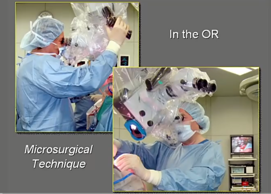 回顾了26例经显微手术切除的深部海绵状血管瘤，14个位于脑干内。