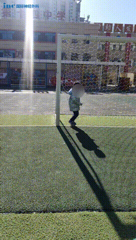 在草坪上  晓飞无忧无虑  一往无前