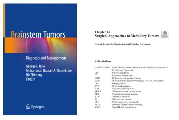 在2020年出版的世界脑干手术专著《Brainstem Tumors》中的《Surgical Approaches to Medullary Tumors》章节中，巴特朗菲教授为读者提供了“手术禁区”脑干延髓手术的全面和详细的解读