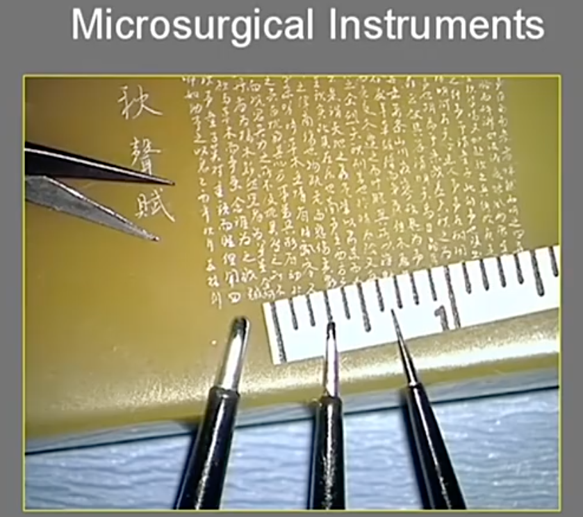 中国古代，毫米级字体大小的”秋声赋“书法作品