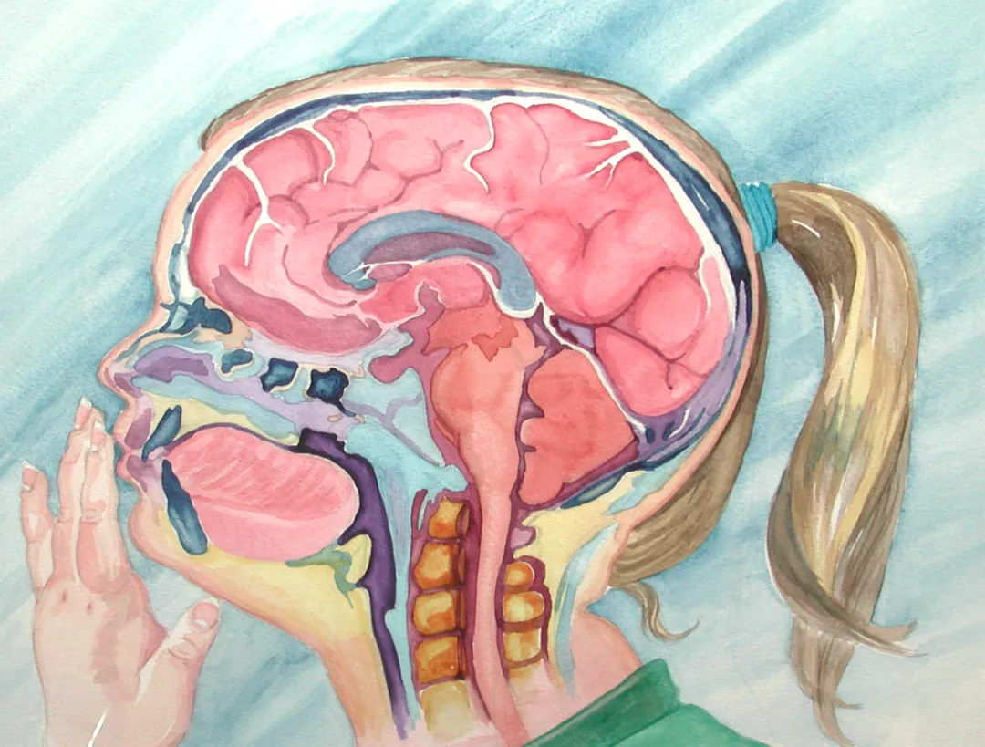 家长注意：儿童开颅手术后，这些事情不能做！