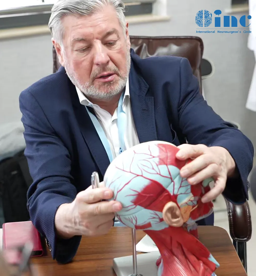 巴教授试头部模型给我们解释即将手术所用到的手术入路