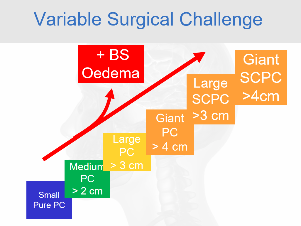 福洛里希教授强调：岩斜区脑膜瘤随体积增大而显著增加的手术风险——肿瘤压迫脑干并引发水肿时，手术难度将急剧攀升。
