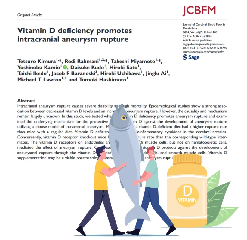维生素D缺乏会增加颅内动脉瘤破裂风险