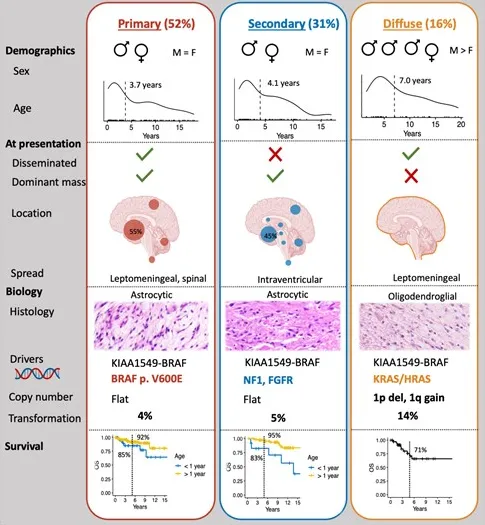 在治疗方面,靶向RAS/MAPK通路抑制作为一线或二线治疗比传统化疗更有效。