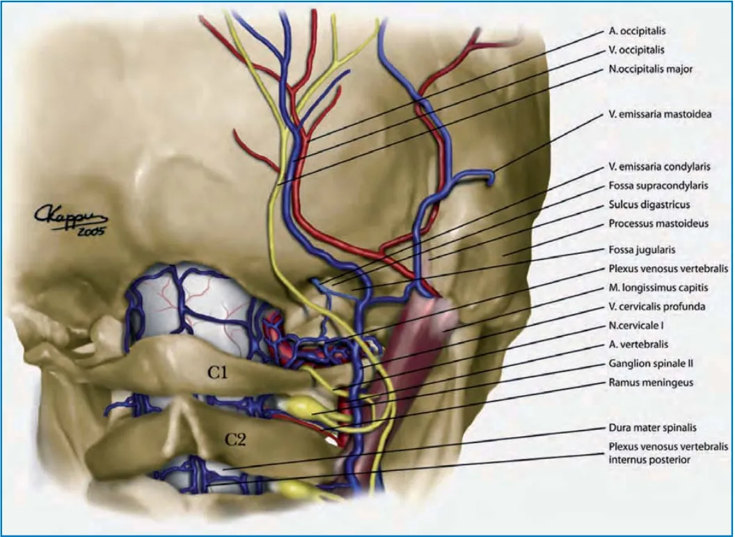 如何在颅颈交界区的“手术雷区”，安全、全切复杂脑膜瘤？