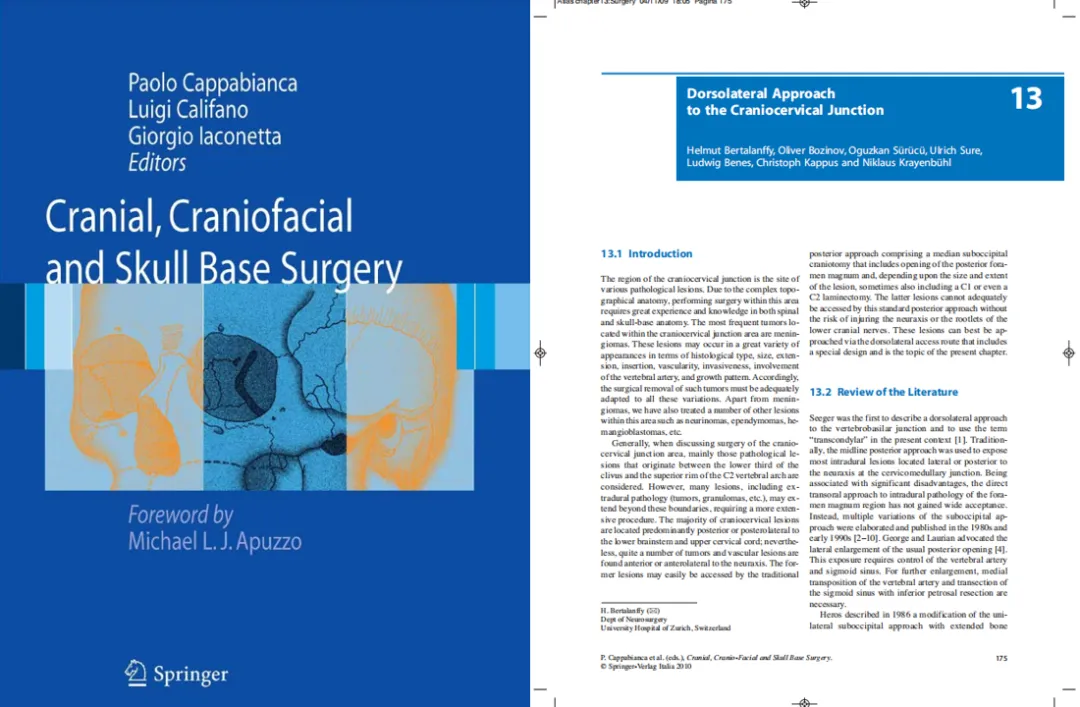 《Dorsolateral Approach to the Craniocervical Junction 背外侧入路到颅颈交界》的Dorsolateral Approach to the Craniocervical Junction章节中深入分析了颅颈交界区的各类病变