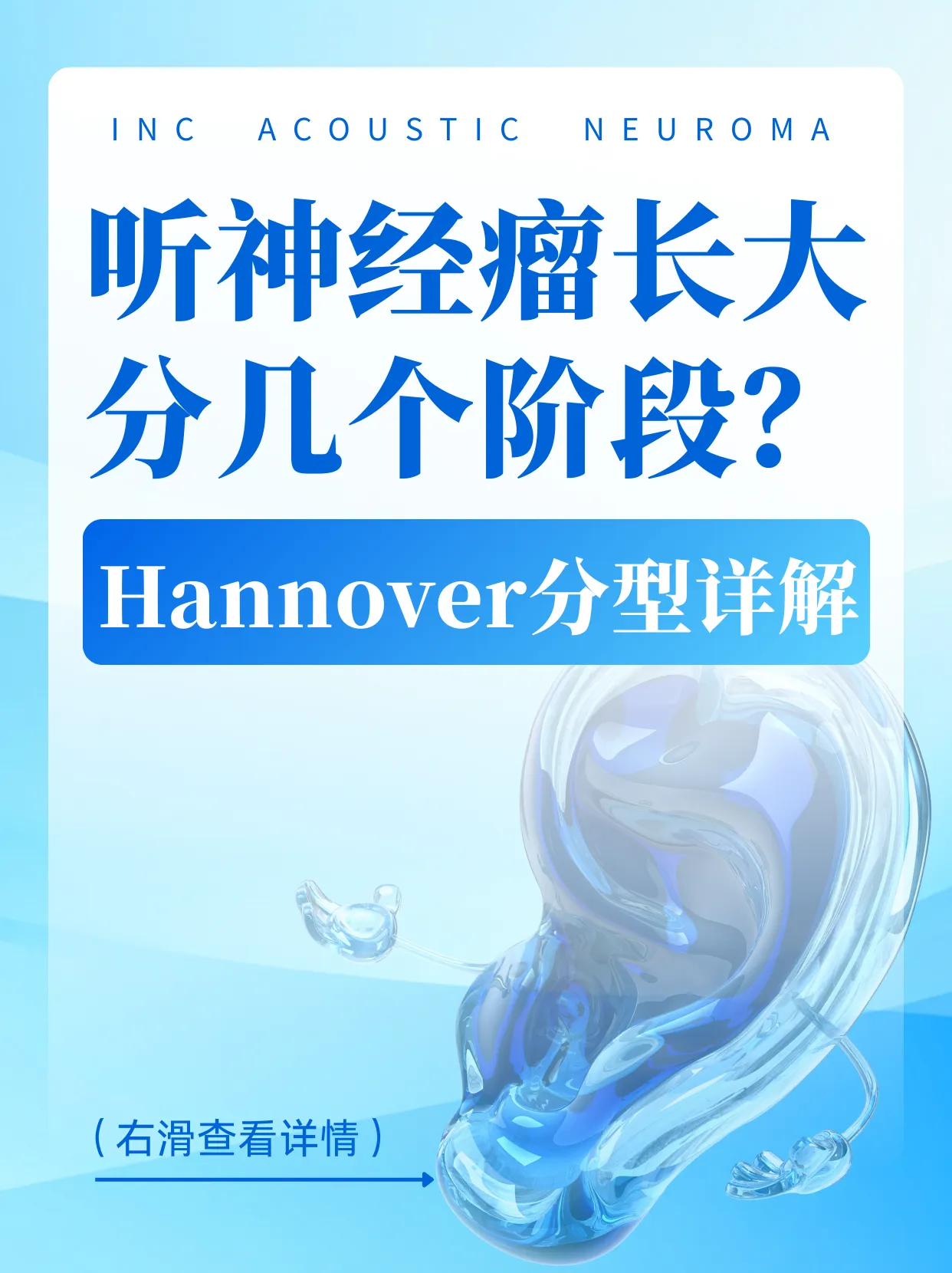 Hannover分型
