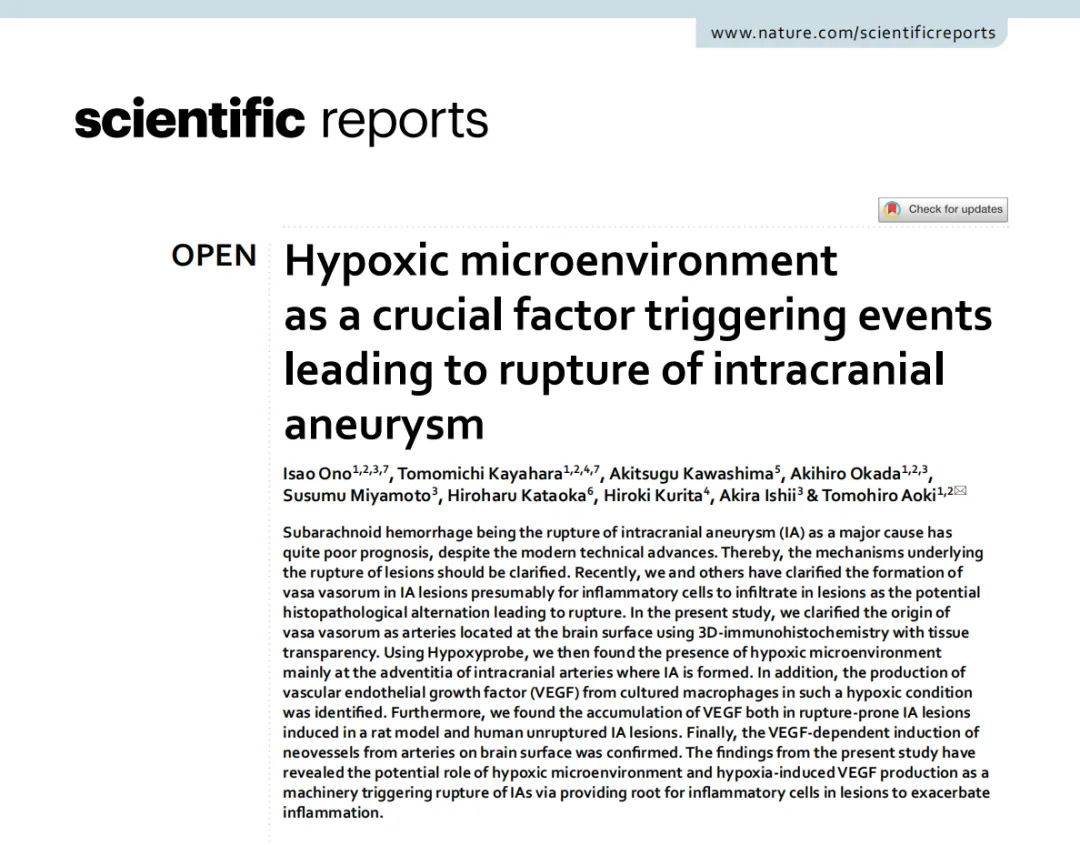 为什么有些动脉瘤稳定多年，有些却突然破裂？