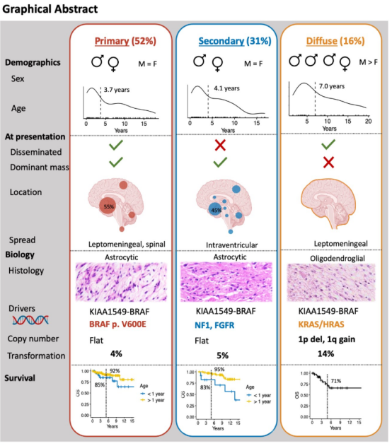在治疗方面,相比常规化疗,针对 RAS/MAPK 通路的靶向抑制作为一线或二线治疗更为有效。