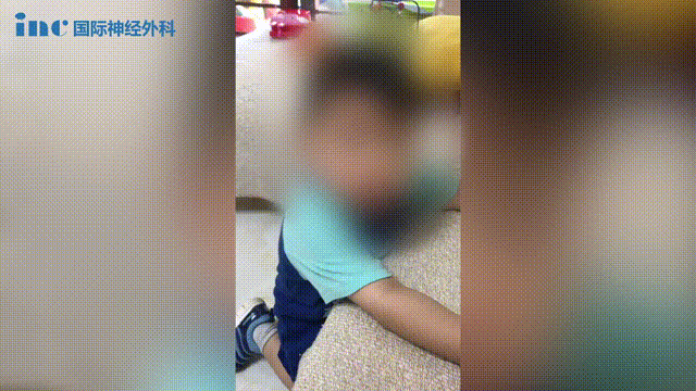 2019年，手术后没多久的聪聪已经恢复了往日的活泼可爱。