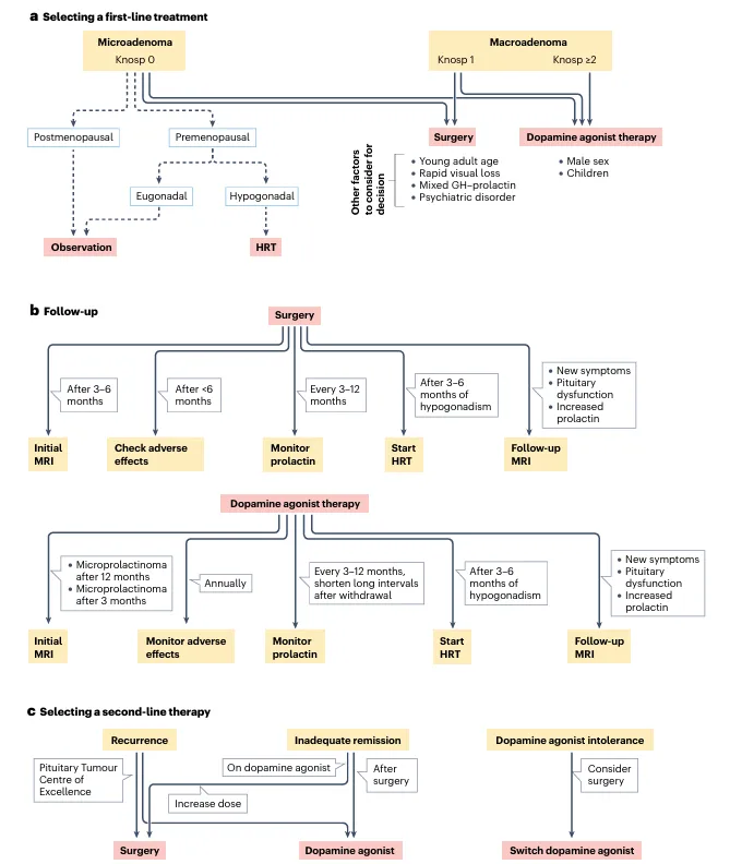 在微腺瘤中，可以根据绝经期和性腺状态（虚线）来考虑患者对观察或HRT的意愿偏好。