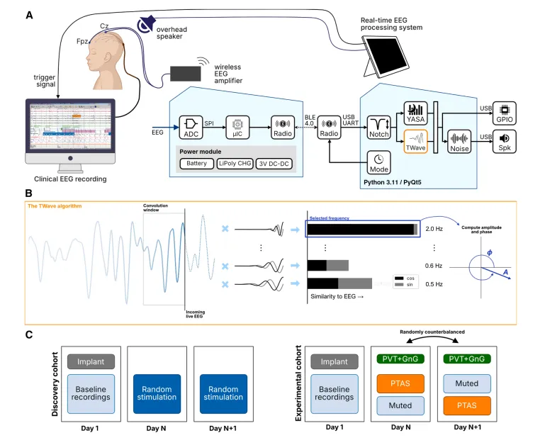 一个基于TWave算法的儿童癫痫PTAS系统及实验设计概述。