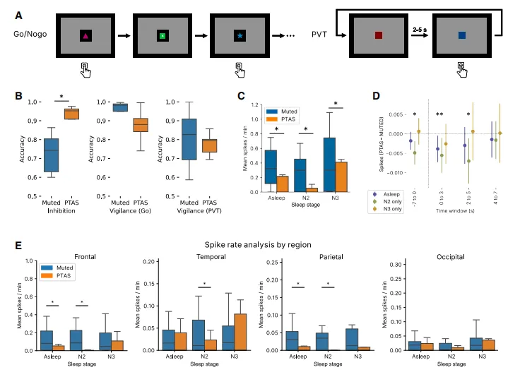 上升相位PTAS减少睡眠期间的癫痫样放电