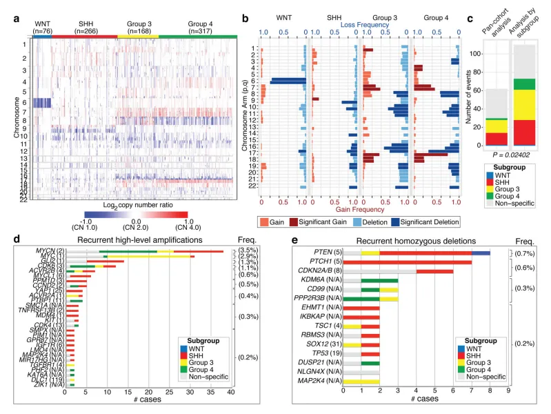 图1.髓母细胞瘤亚组的基因组异质性。