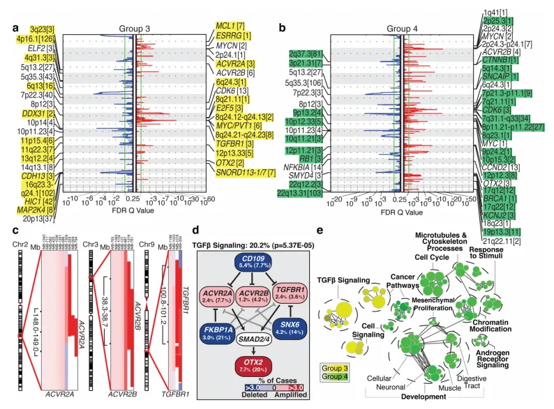 图3.第3组和第4组髓母细胞瘤的基因组图谱。