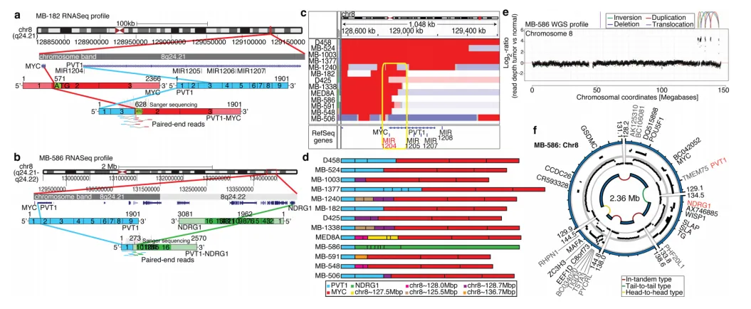 图5.第3组中频繁出现的PVT1-MYC融合基因的鉴定。