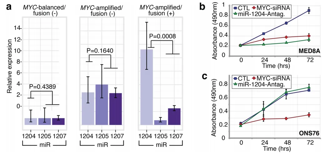 图6.miR-1204与PVT1-MYC融合后继发的MYC功能协同。