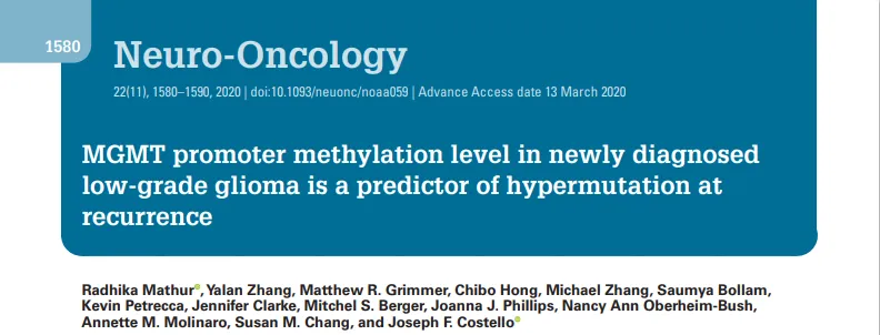 低级别胶质瘤MGMT甲基化机制研究