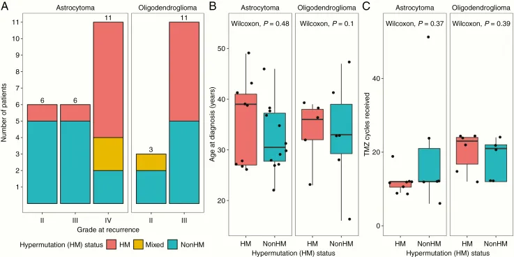 患者超突变状态及其与临床特征的关联。