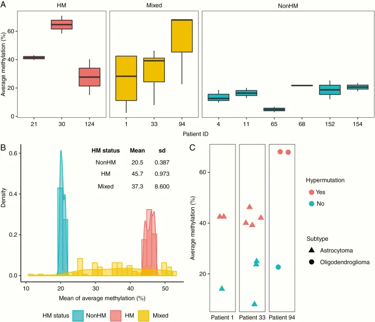 MGMT启动子甲基化与超突变的瘤内分析。