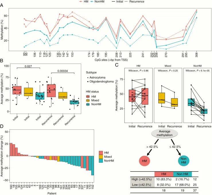 MGMT启动子甲基化与超突变的瘤内分析。