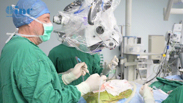 肿瘤被顺利取出