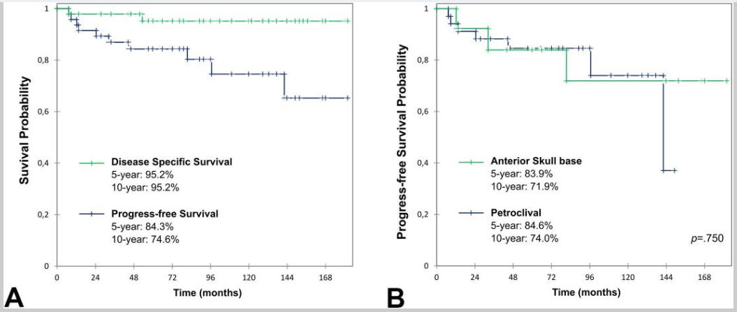 总生存期和无进展生存曲线