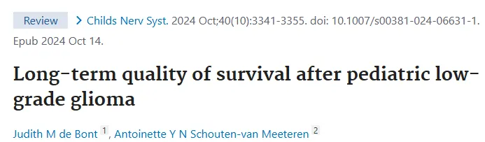 2024年发表于《Child‘s Nervous System》的一篇综述
