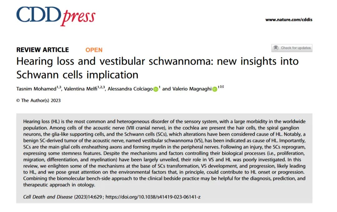 Hearing loss and vestibular schwannoma: new insights into Schwann cells implication