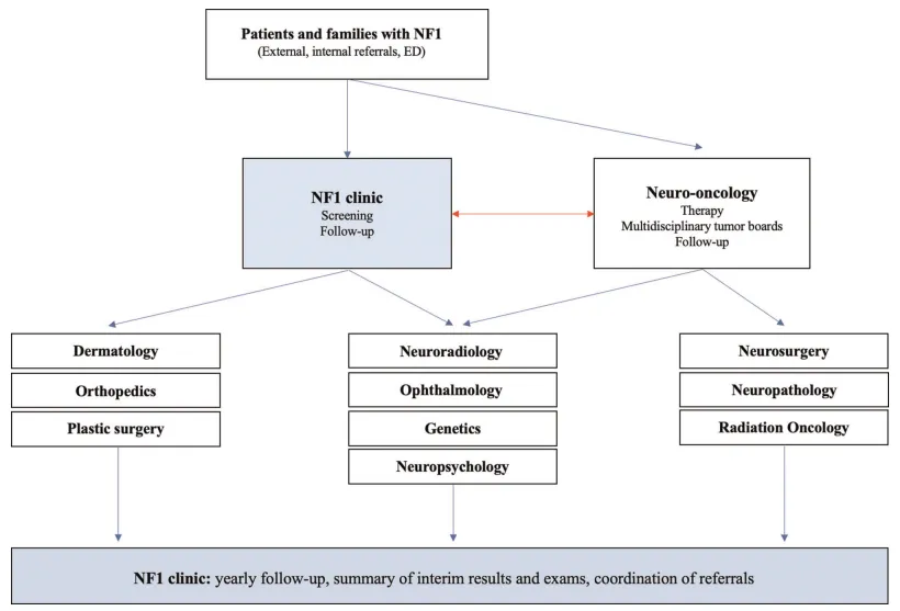 NF1 clinic: yearly follow-up, summary of interim results and exams, coordination of referrals