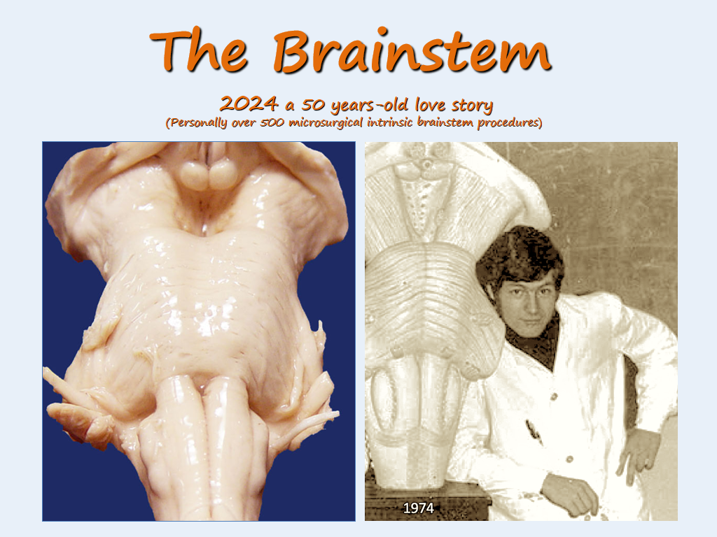 The Brainstem  2024 a 50 years-old love story  (Personally over 500 microsurgical intrinsic brainstem procedures)