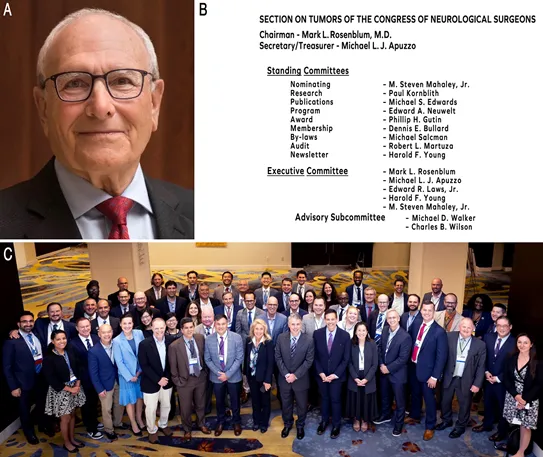 肿瘤学组的初始活动旨在应对学组成立时发现的许多挑战，特别是展示神经外科肿瘤学亚专业化神经外科医生的价值。