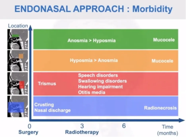 经鼻内镜入路并发症风险——关于并发症的发生率，多见的是鼻分泌物过多，以及幻嗅或者说是嗅觉减退。窦腔感染、鄂咽功能障碍以及鼻腔的感染等。