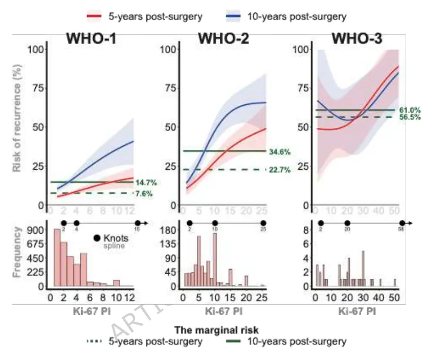 图 3.A: 不同WHO分级术后5年和10年的Ki-67指数复发风险。采用样条函数的灵活建模，节点位置取决于Ki-67指数的亚组特定分布，如曲线下方的直方图所示（B）。图中展示了各WHO分级的边际风险，即未经调整的总体平均复发风险。