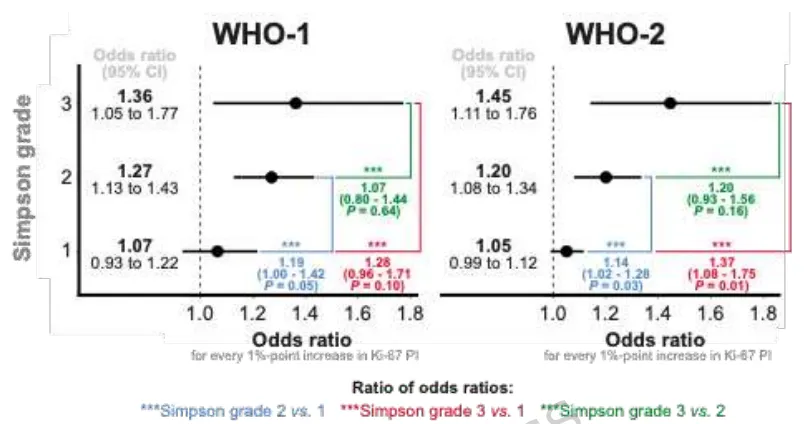 图 5.Ki-67指数及其与复发风险的关联取决于Simpson分级和WHO分级。该分析调整了年龄组（<50岁, 50-70岁, >70岁）、性别、Simpson分级、Ki-67指数、诊断年份（<2001年, 2001-2006年, 以及 ≥2007年）和颅内位置。