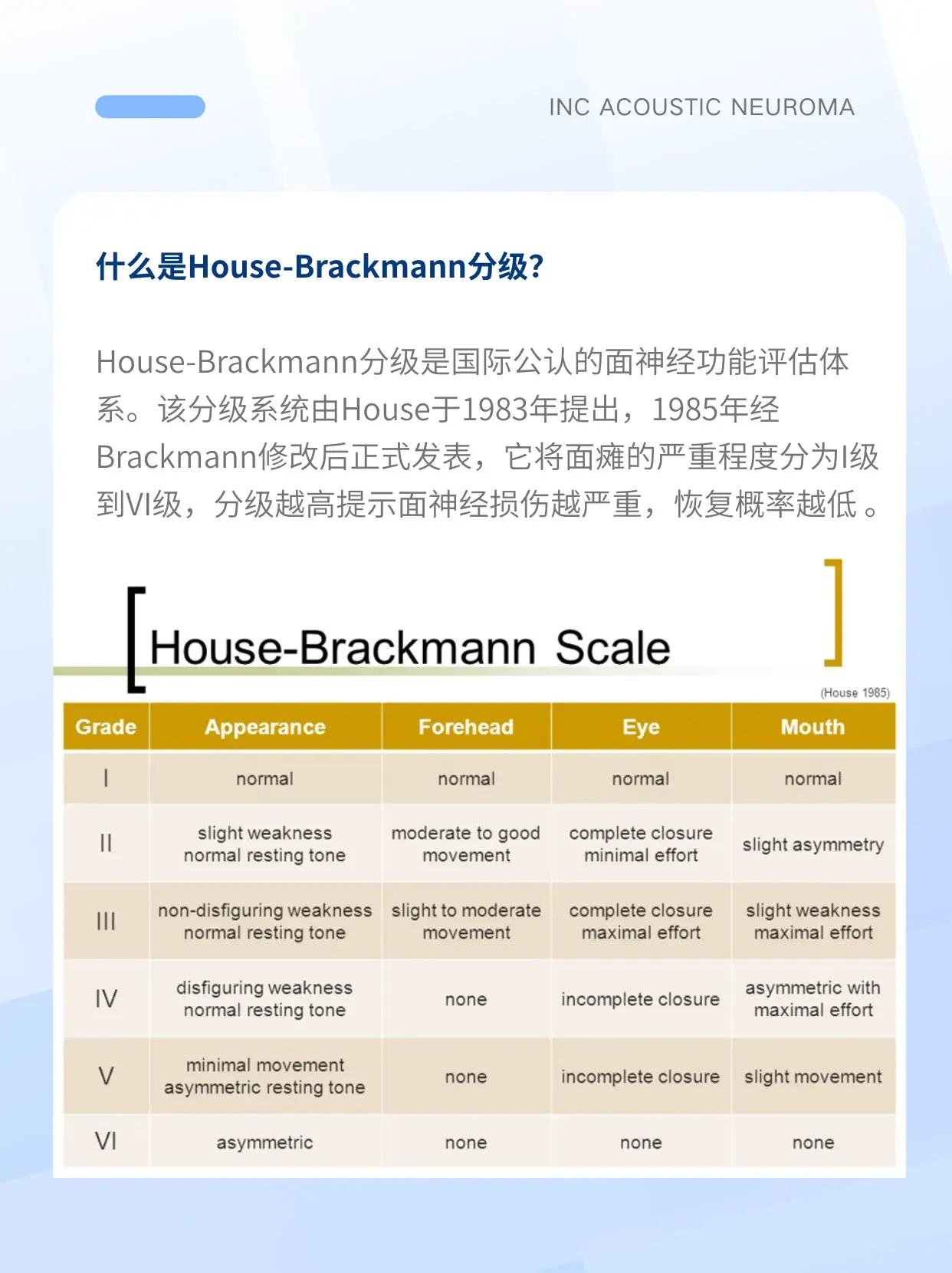 House-Brackmann分级