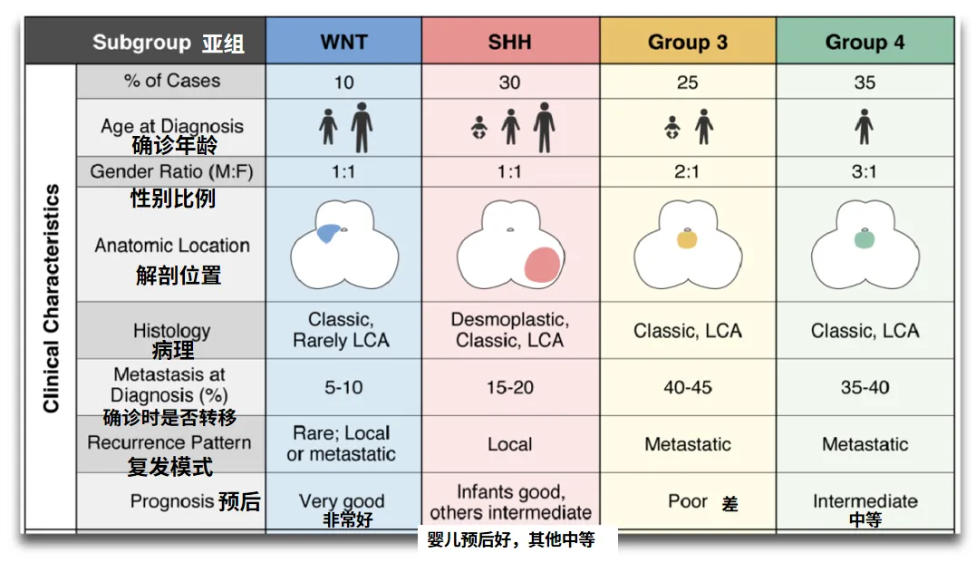 这种儿童常见恶性脑瘤会遗传？不同亚型，遗传易感基因各异，筛查策略需个体化