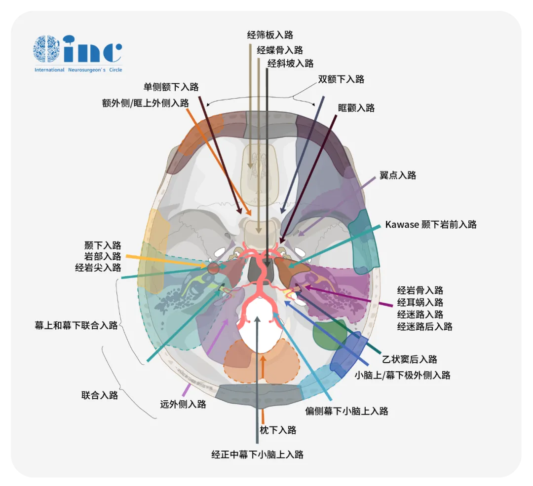 手术要重点保护前庭蜗神经和面神经功能